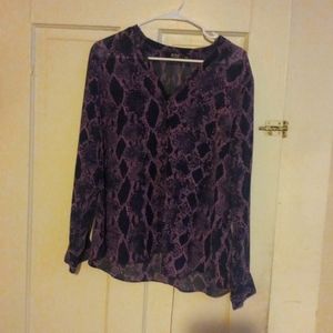 Long Sleeve Sheer Blouse